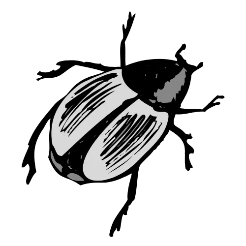 Käfer Icon