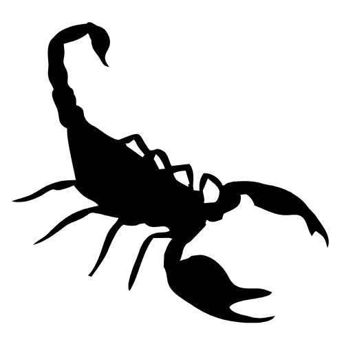 Skorpion Icon